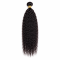 Kinky Curly Hair Bundle